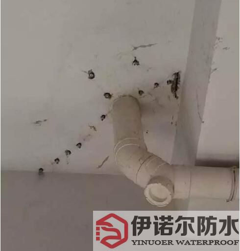 虎丘蘇州防水工程的基本內容是什么？